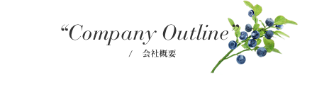 会社概要